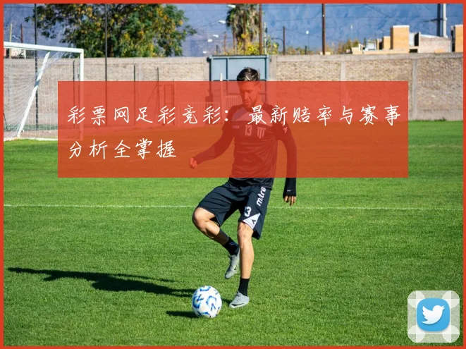 彩票网足彩竞彩：最新赔率与赛事分析全掌握
