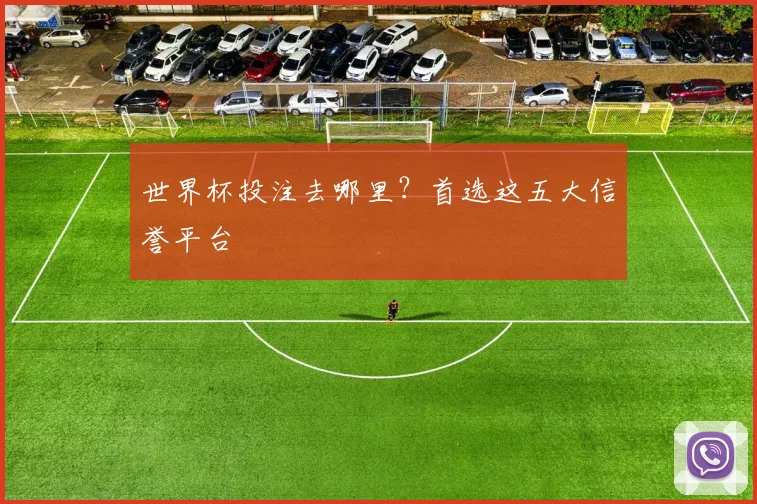 世界杯投注去哪里?首选这五大信誉平台