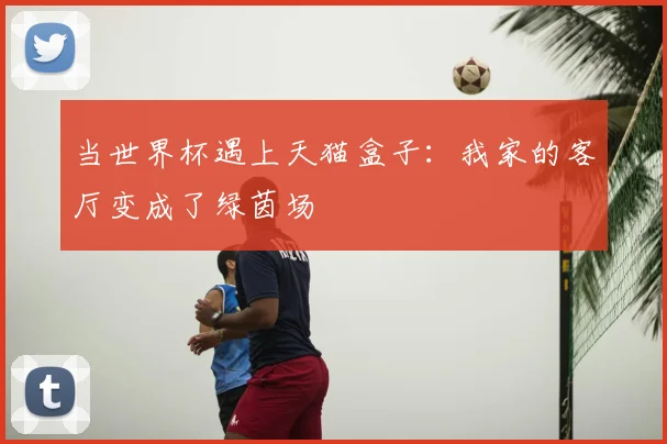 当世界杯遇上天猫盒子：我家的客厅变成了绿茵场