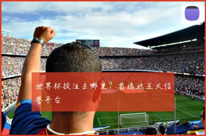世界杯投注去哪里？首选这五大信誉平台