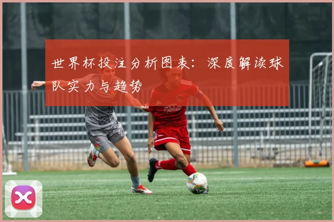 世界杯投注分析图表:深度解读球队实力与趋势