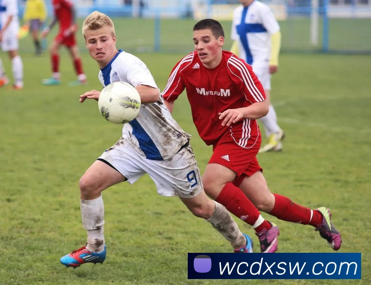 数据防护可视化